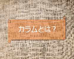 カラムとは?初心者のための基本解説!