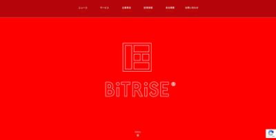 株式会社ビットライズ