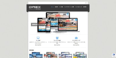 ダイレックス株式会社 ダイレックス株式会社
