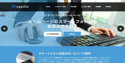株式会社メガサイト