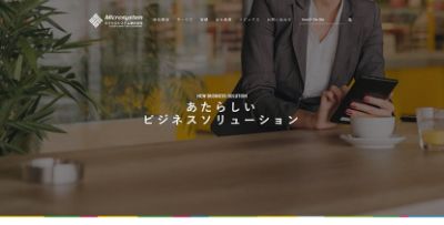 マイクロシステム株式会社