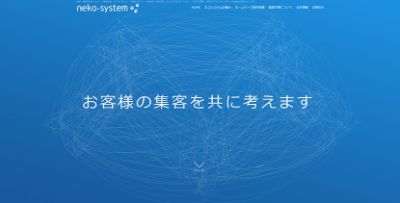 株式会社ネコシステム