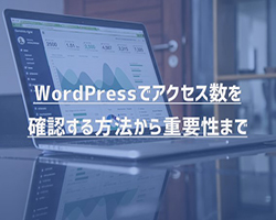 【解説】WordPressでアクセス数を確認する方法から重要性まで