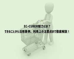 EC-CUBEの魅力とは？できることから活用事例、利用上の注意点まで徹底解説！