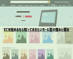 ECサイトを始めるなら知っておきたいモール型の強みと弱み